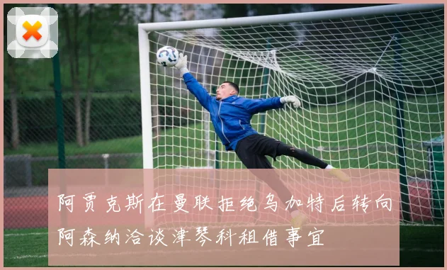 阿贾克斯在曼联拒绝乌加特后转向阿森纳洽谈津琴科租借事宜